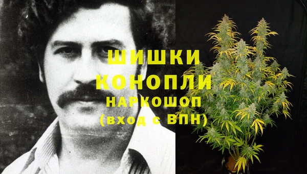 круглые Белокуриха