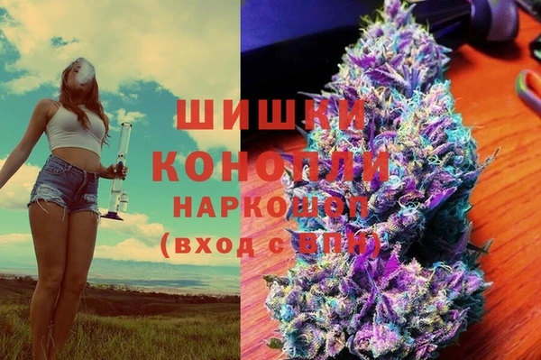 круглые Белокуриха
