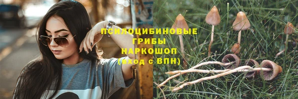 тгк Белоозёрский
